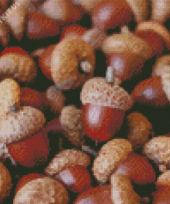 Acorn Nuts Food Diamond Painting