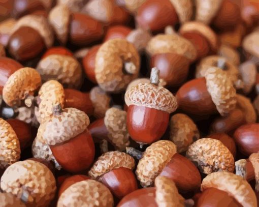 Acorn Nuts Food Diamond Painting
