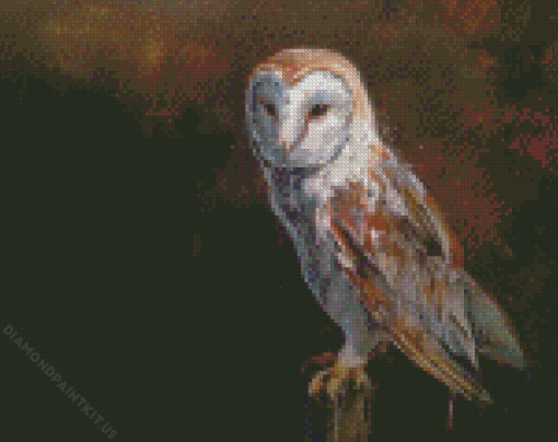 Labyrinth Owl Arts Diamond Painting