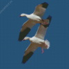 Snow Geese Flying Diamond Painting