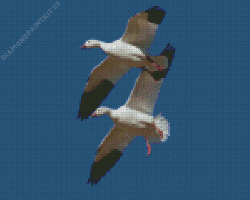 Snow Geese Flying Diamond Painting