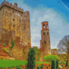 Aesthetic Blarney Diamond Painting