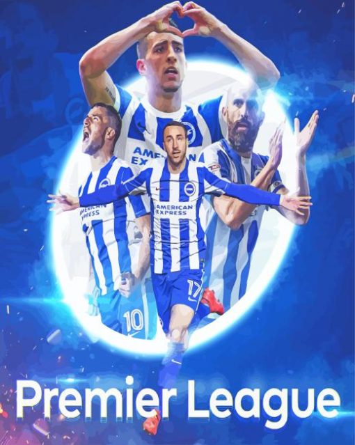 Brighton And Hove Albion League Diamond Painting