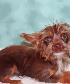 Brown Chorkie Puppy Diamond Painting