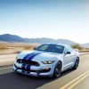 Cool White And Blue Mustang Diamond Painting