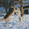 Cute Borzoi Dogs In Snow Diamond Painting