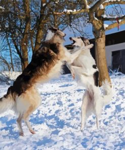 Cute Borzoi Dogs In Snow Diamond Painting