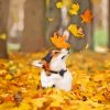 Dog In Autumn Leaves Diamond Painting