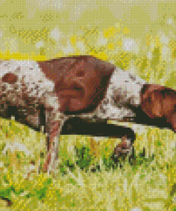 German Shorthaired Dog Running Diamond Painting