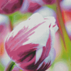 Parrot Tulips Diamond Painting