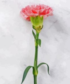 Carnation Flower On Table Diamond Painting