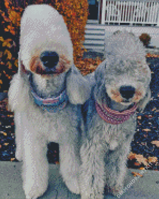 Two Bedlington Terriers Diamond Painting