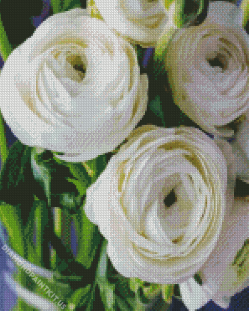 White Ranunculus Diamond Painting