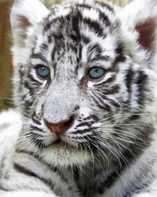 White Tiger Baby Cub Diamond Painting