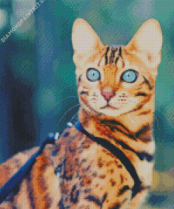 Bengal Cat Diamond Painting