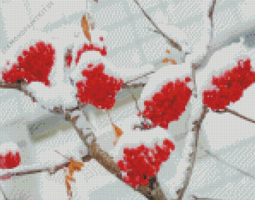 Berries In Winter Diamond Painting