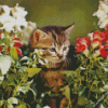 Cat In A Flowery Garden Diamond Painting