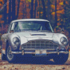 Grey Aston Martin Car Diamond Painting