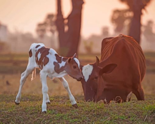 New Born Baby Cow Diamond Painting