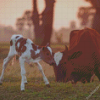 New Born Baby Cow Diamond Painting