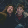 Sirius Black And Harry Potter Diamond Painting