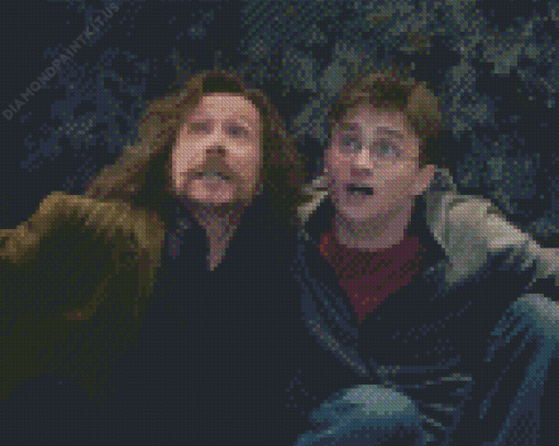 Sirius Black And Harry Potter Diamond Painting