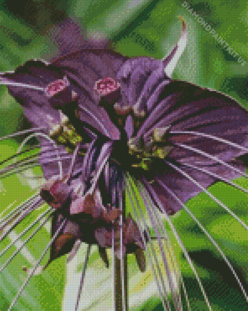 Black Bat Flowers Diamond Painting