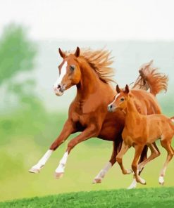 Horse And Colt Runing Diamond Painting
