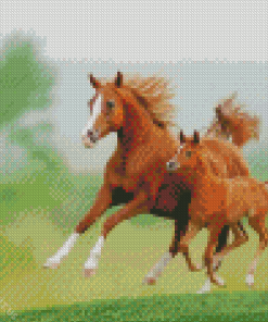 Horse And Colt Runing Diamond Painting