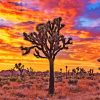 Joshua Tree Diamond Painting