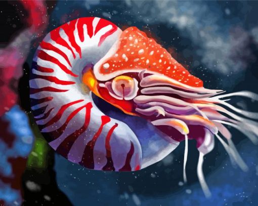 Nautilus Animal Art Diamond Painting