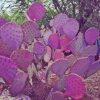 Purple Cactus Diamond Painting