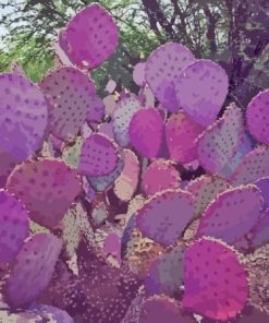 Purple Cactus Diamond Painting