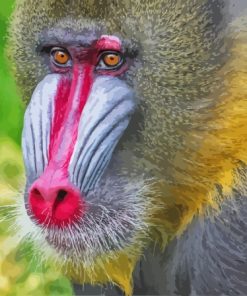 Red Nose Baboon Primate Diamond Painting