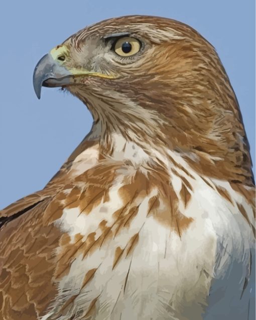 Red Tailed Hawk Diamond Painting