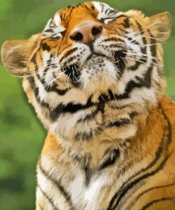 Adorable Smiling Tiger Diamond Painting
