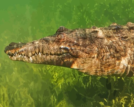 American Crocodile Swimming Underwater Diamond Painting