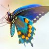 Blue Green Butterfly Wing Diamond Painting