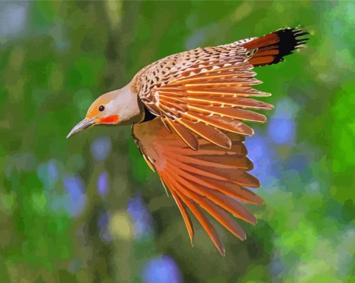 Northern Flicker Bird Diamond Painting