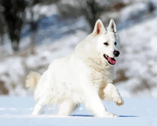 American White Shepherd Playing In Snow Diamond Painting