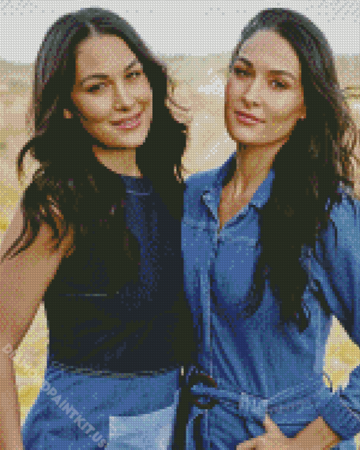 Bella Twins Diamond Painting