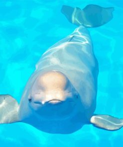 https://diamondpaintkit.us/wp-content/uploads/2024/01/Beluga-whale-in-pool-Diamond-With-Numbers.png