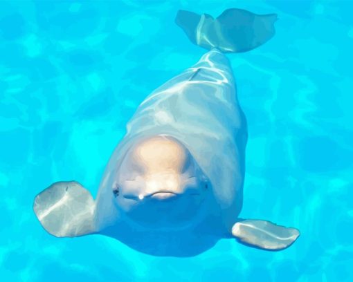 https://diamondpaintkit.us/wp-content/uploads/2024/01/Beluga-whale-in-pool-Diamond-With-Numbers.png