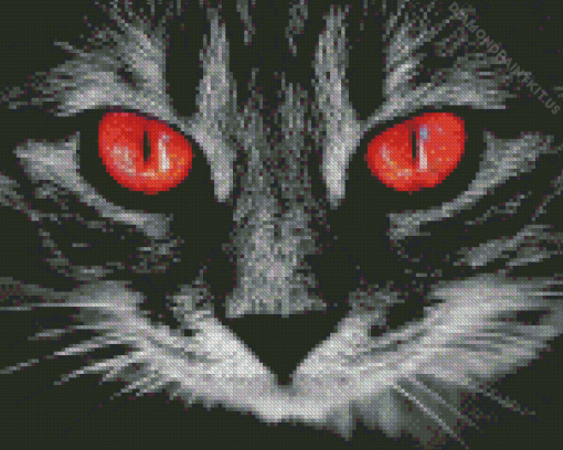 Black And White Cat With Red Eyes Diamond Painting