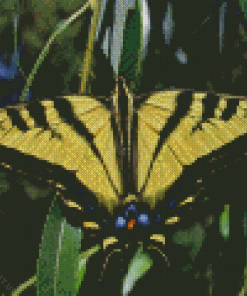 Black Yellow Tiger Swallowtail Diamond Painting