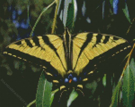 Black Yellow Tiger Swallowtail Diamond Painting