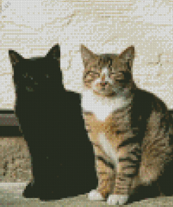 Black And Tabby Cat Diamond Painting
