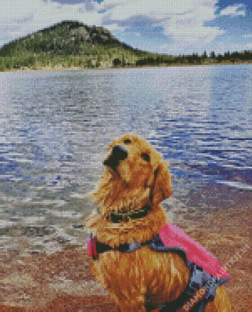 Blonde Dog On A Lake Diamond Painting