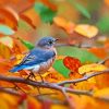 Blue Bird In Autumn Diamond Painting