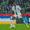 Borussia Monchengladbach Team Player Diamond Painting